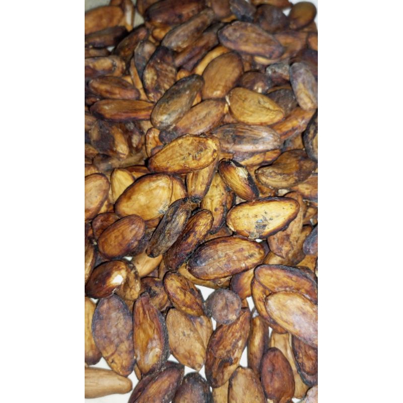 

biji kakao kering 500 gram