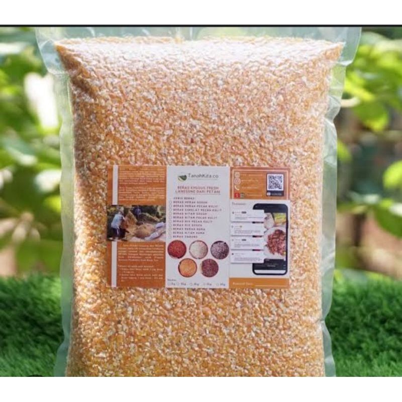 

beras jagung bisa di konsumsi dan buat pakan ayam