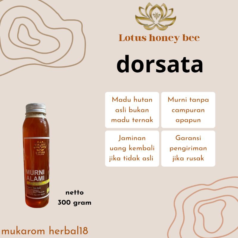 

Madu murni asli 100% dari hutan ujung kulon banten lotus honey bee dorsata 300gram