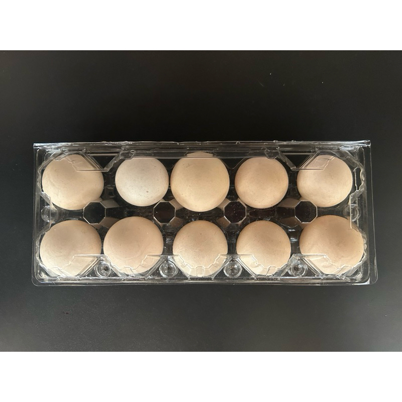

Telur Ayam Kampung