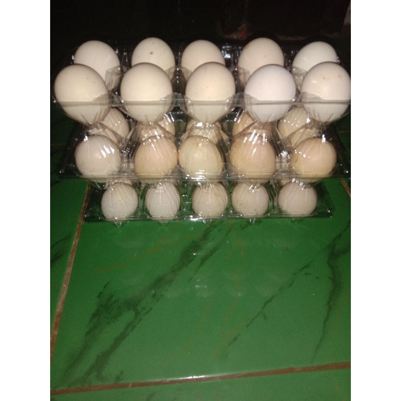 

Telur Ayam Kampung Asli isi 10 pcs