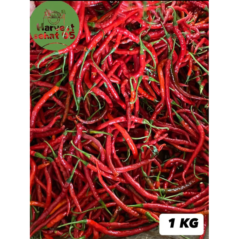 

Cabe Merah Keriting 1 KG Asli 100%