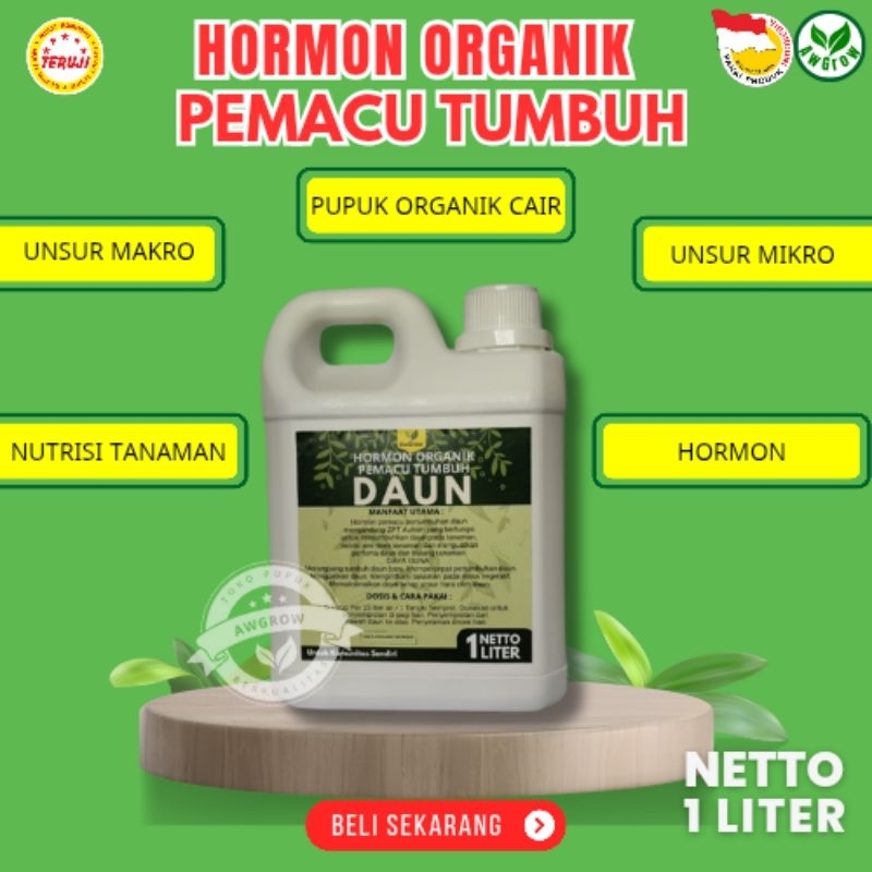 Shopritz Pupuk Daun Bawang Cepat Tumbuh Daun Bawang Subur Lebat Kuat Sehat Pupuk Hormon Daun Bawang