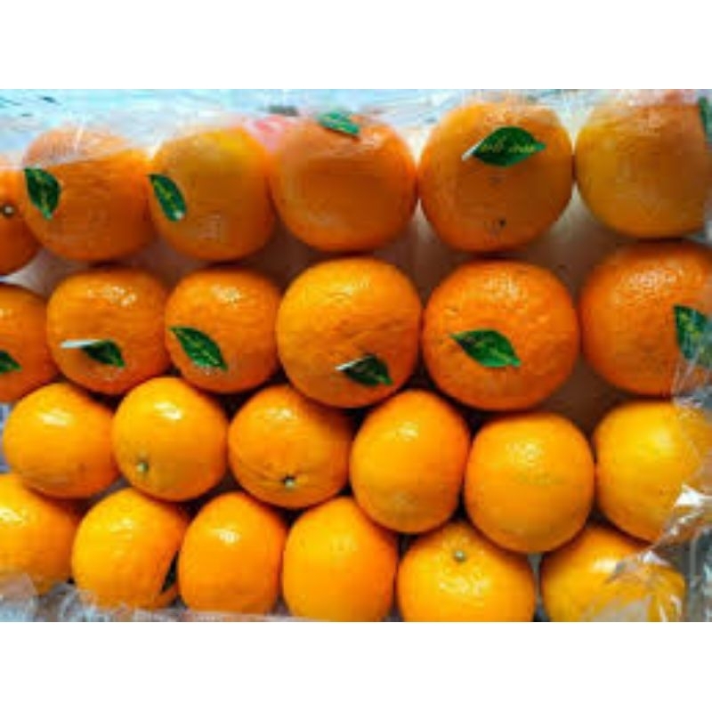 

jeruk mandarin manis dan segar by jabonfruit