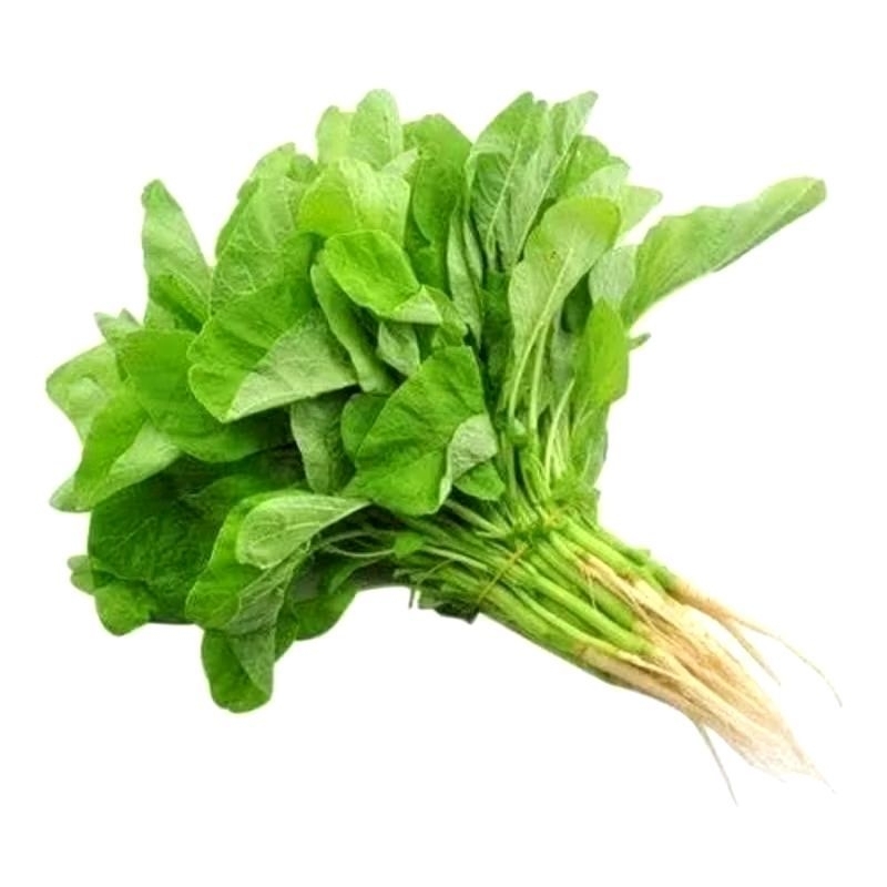 

Sayur bayam ikat segar