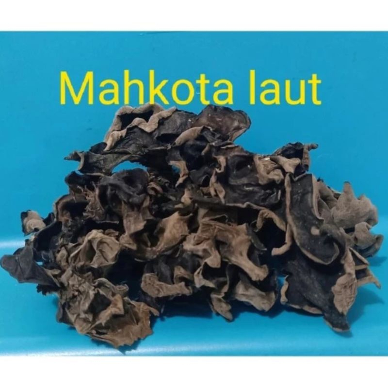

Jamur Kuping Hitam Kering/ Bok Ji / Dried Black Fungus -500gr