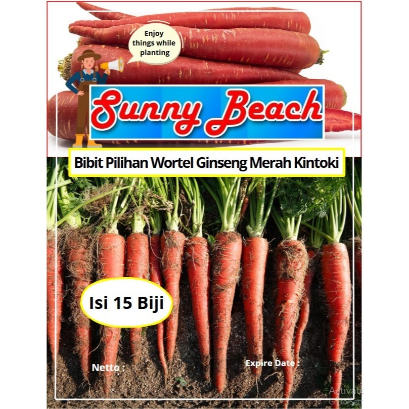 Bibit Pilihan Wortel Ginseng Merah Kintoki | Biji Benih Wortel Merah | Wortel