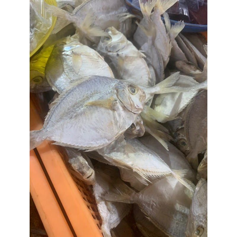 

ikan petek asin kering 1 kg