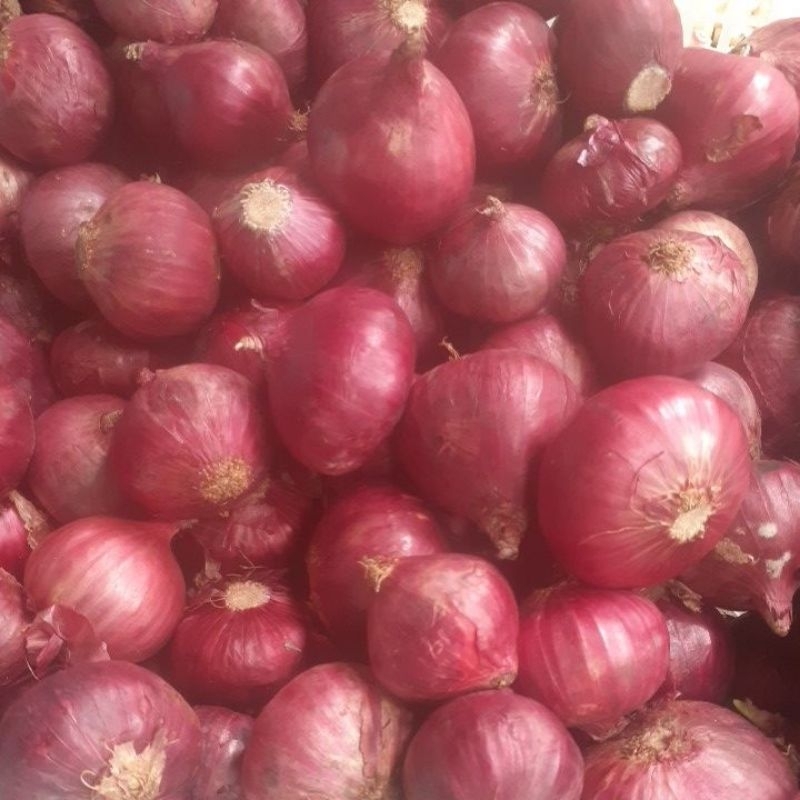 

RB Bawang Merah India 1kg Berkualitas Tinggi Fresh