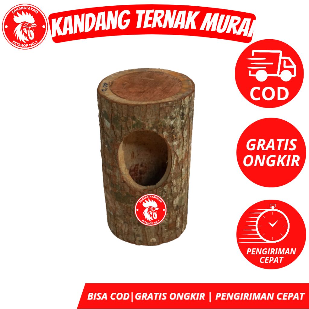 Kandang Ternak Murai Kandang Burung Murai Glodog