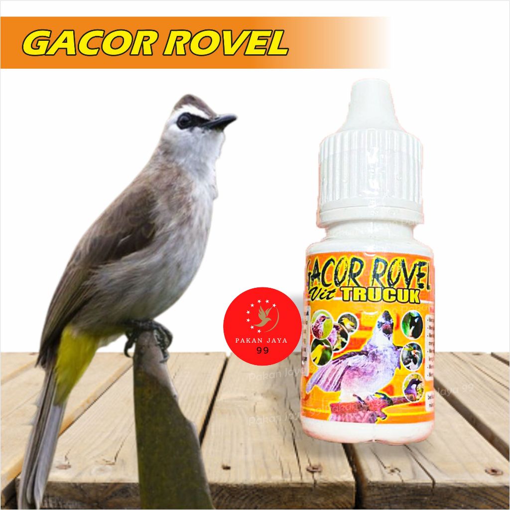 READY GACOR ROPEL ROVEL VIT TRUCUK 1 BOTOL BMW VITAMIN OBAT PENGGACOR INSTAN  BURUNG TRUCUK TROCOK
