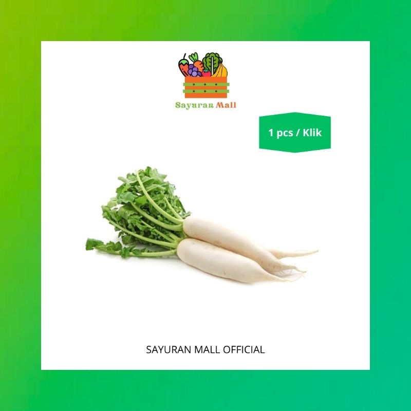 

1pcs Lobak Putih | Sayur Online | SAYURANMALL