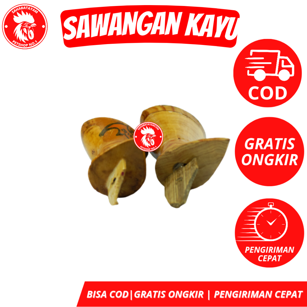 Sawangan Merpati Kayu Sawangan Nyaring Keras