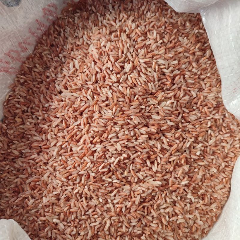 

beras merah kualitas bagus enak pulen