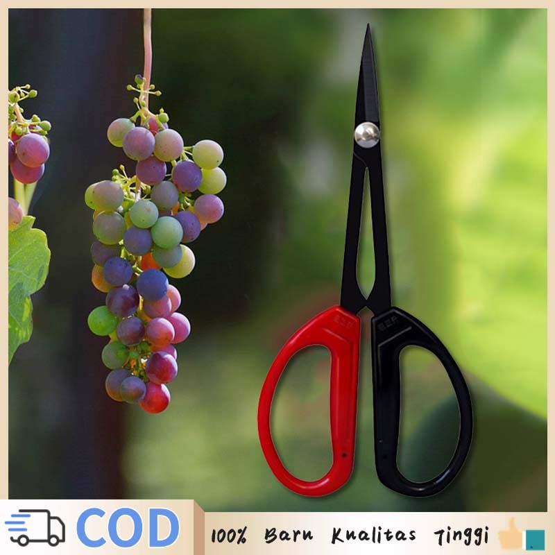 Gunting Bonsai Panjang Gunting Pruning Bonsai Gunting Pohon Dahan Ranting