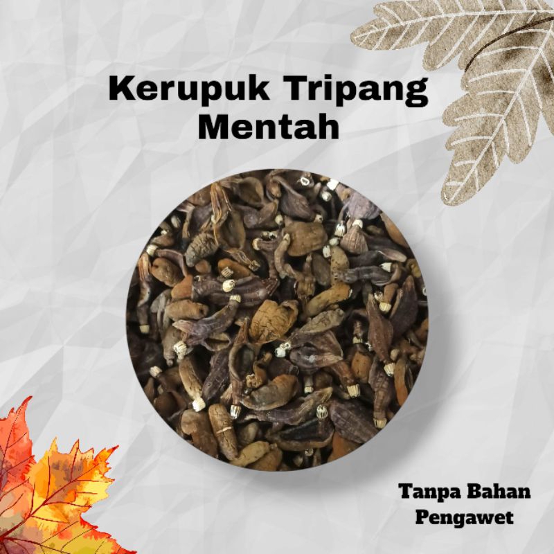 

TERIPANG KERING MENTAH 100g