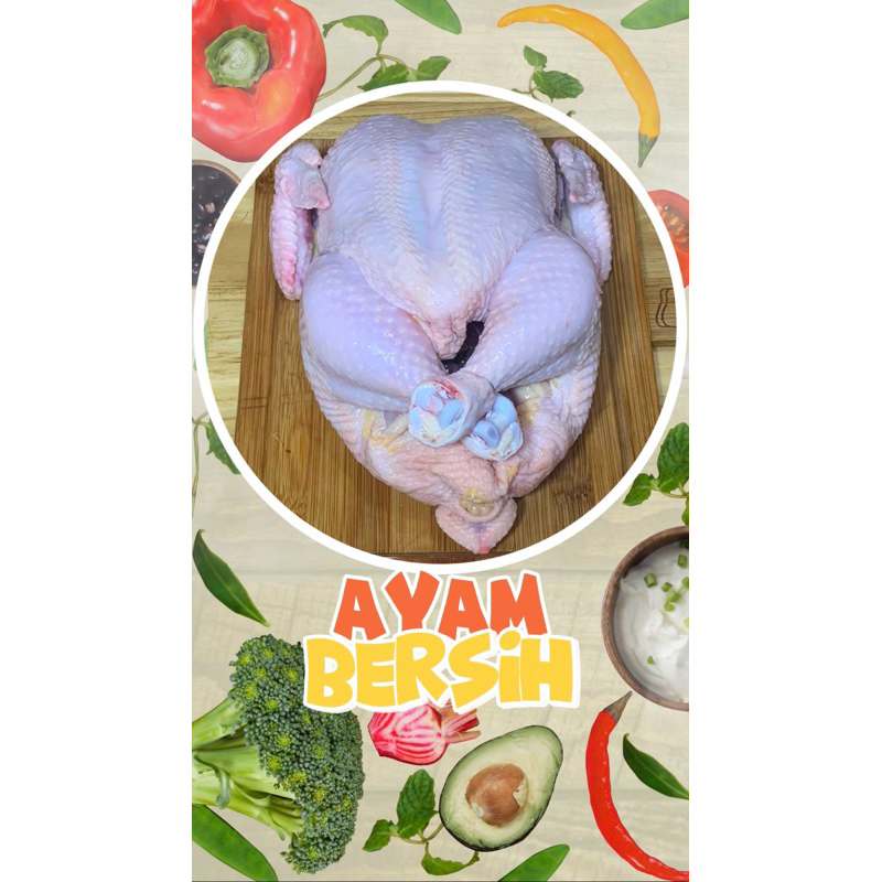 

Ayam Potong Segar 1-1.3 kg / Ayam Karkas / Ayam Broiler / Ayam Segar / Ayam Potong