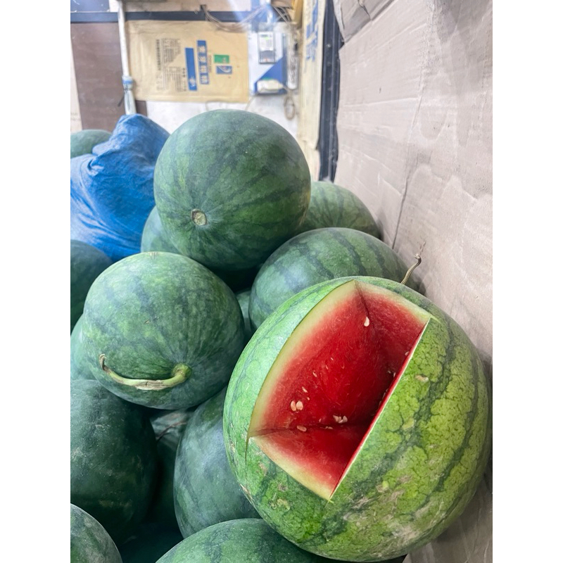 

Semangka Merah Tanpa Biji