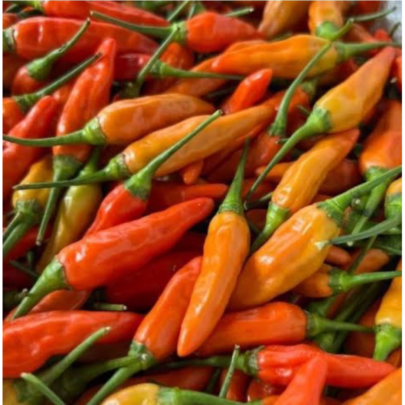 

Cabe Rawit Ori sret 500gr/1kg