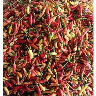 

Cabe Rawit Merah 1kg dari petani