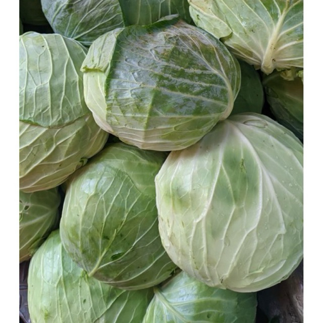 

sayur kol putih / gubis 1kg promo