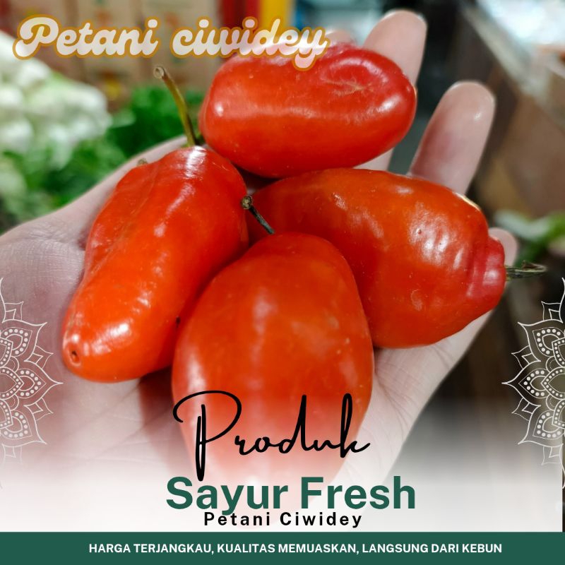 

PROMO Cabai GENDOT MERAH fresh 1 kg pedas nendang