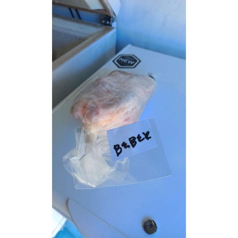 

bebek frozen per ekor