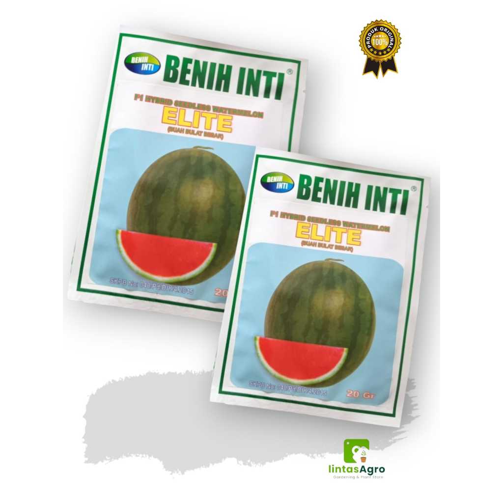Benih Semangka Tanpa Biji BULAT BESAR  ELITE F1 @ 20 gr - Benih Bibit Semangka Merah Non Biji BULAT 