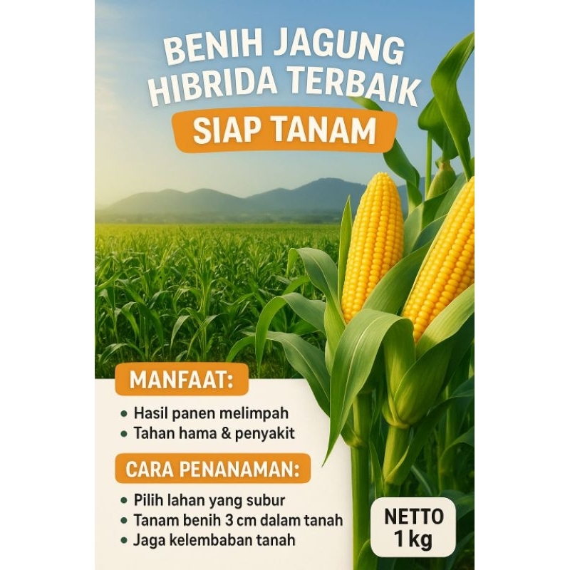 

benih jagung hibrida kwalitas unggul kemasan repack varian berat masa simpan lama