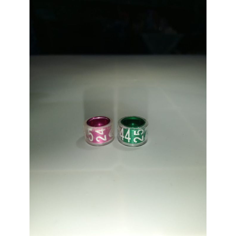 Ring merpati balap PPMBSI 24 dan 25