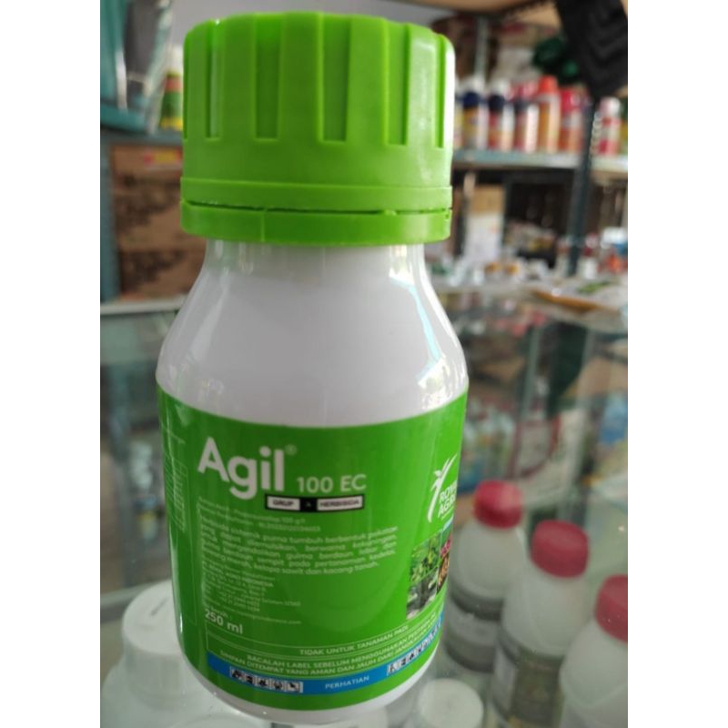 AGIL 100 EC Herbisida selektif pada tanaman ubi jalar, bengkoang, wortel, bawang, cabe, kacang tanah