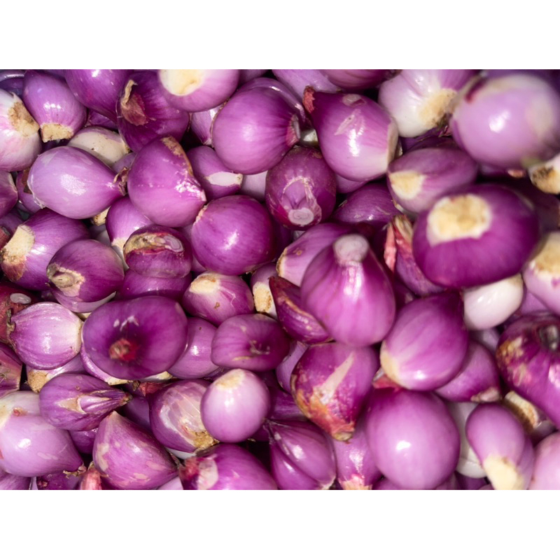 

bawang merah fresh 250gram