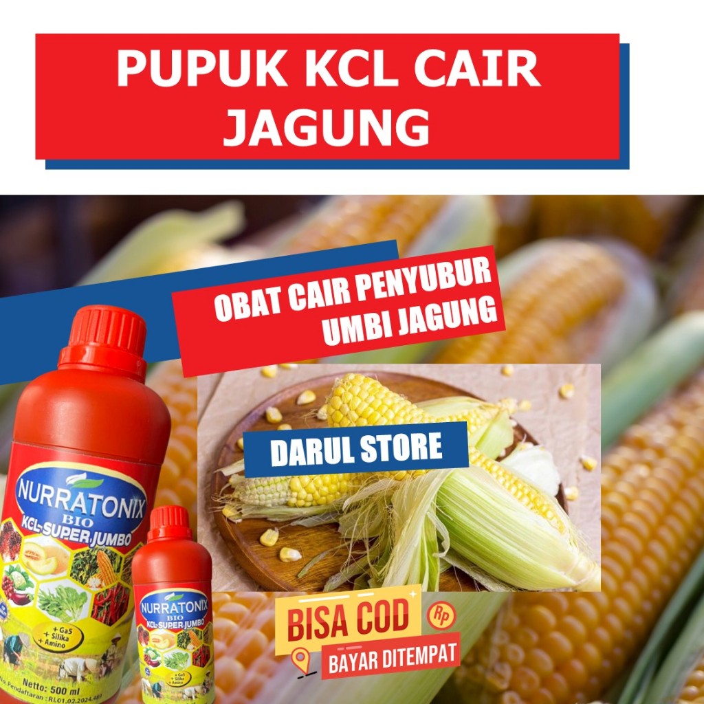 Pupuk Kcl Nurratonix untuk Masa Pertumbuhan dan Perkembangan Tanaman Jagung, Obat Cair Organik Pembe