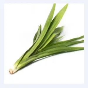 

Daun Pandan (Per Ikat)