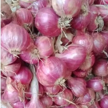 

Bawang merah probolinggo kemasan 250 gram