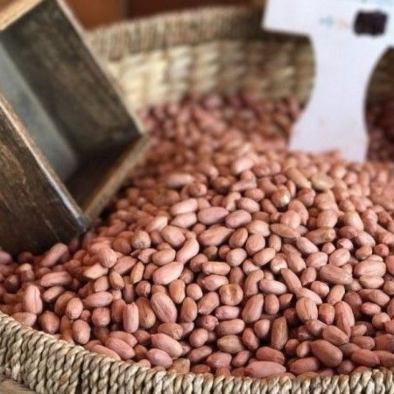 

Kacang Tanah Gurih Alami Bersih 250 gram