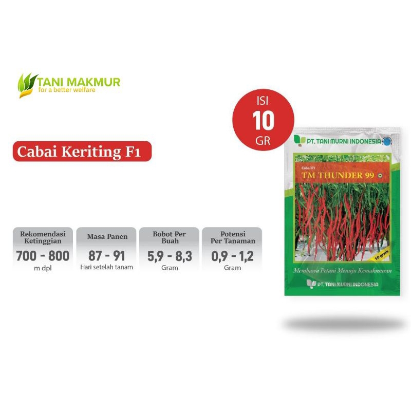 Cabai TM Thunder 99