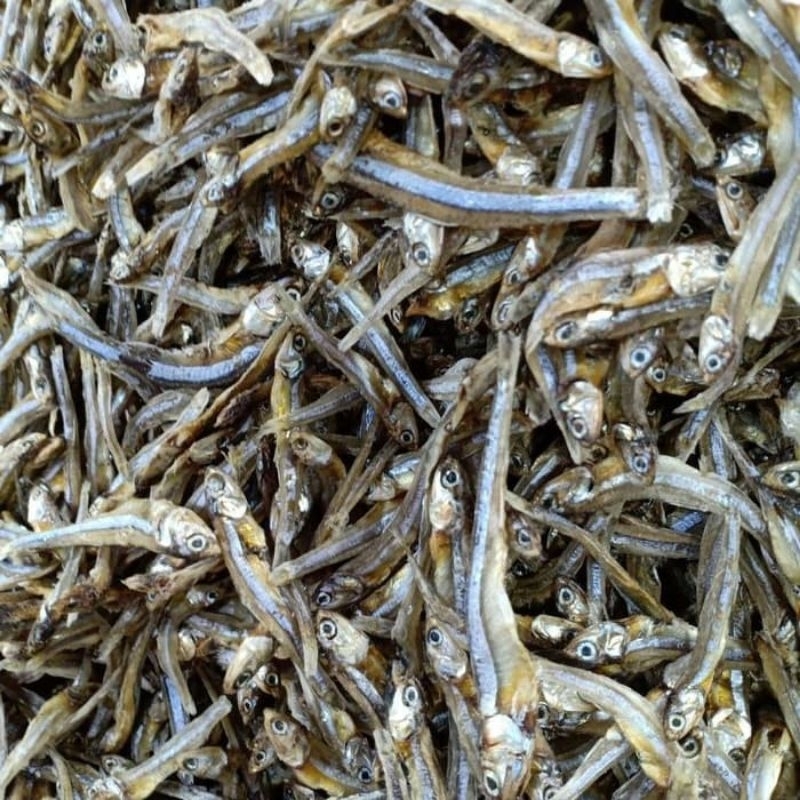 

Ikan teri tawar lokal