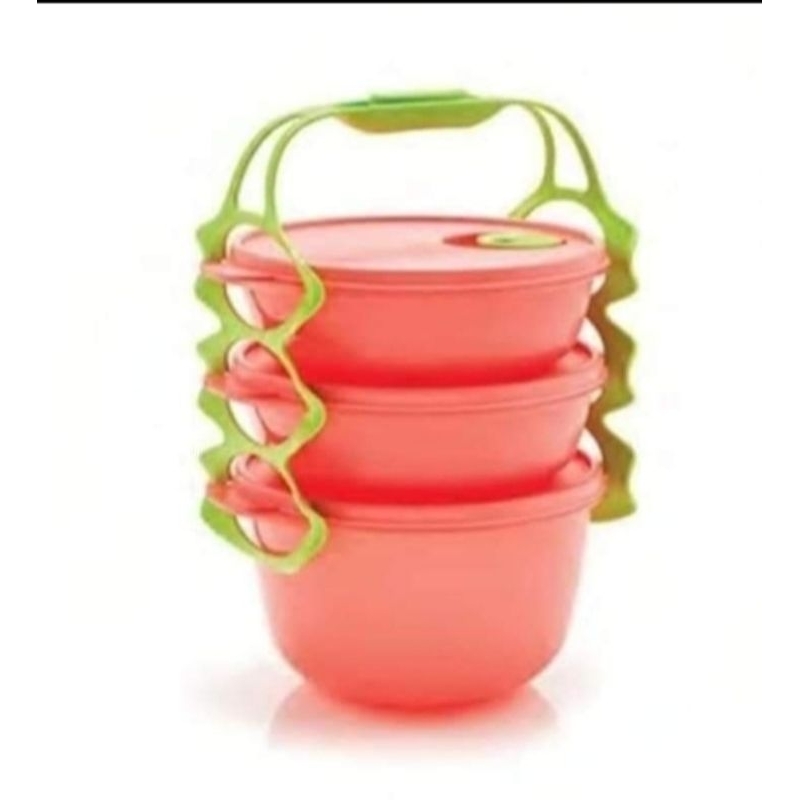 Carry All Bowl / Tupperware Rantang