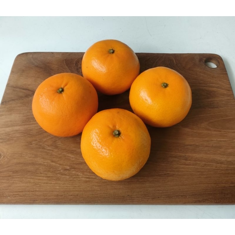

jeruk wogan/wokam mandarin