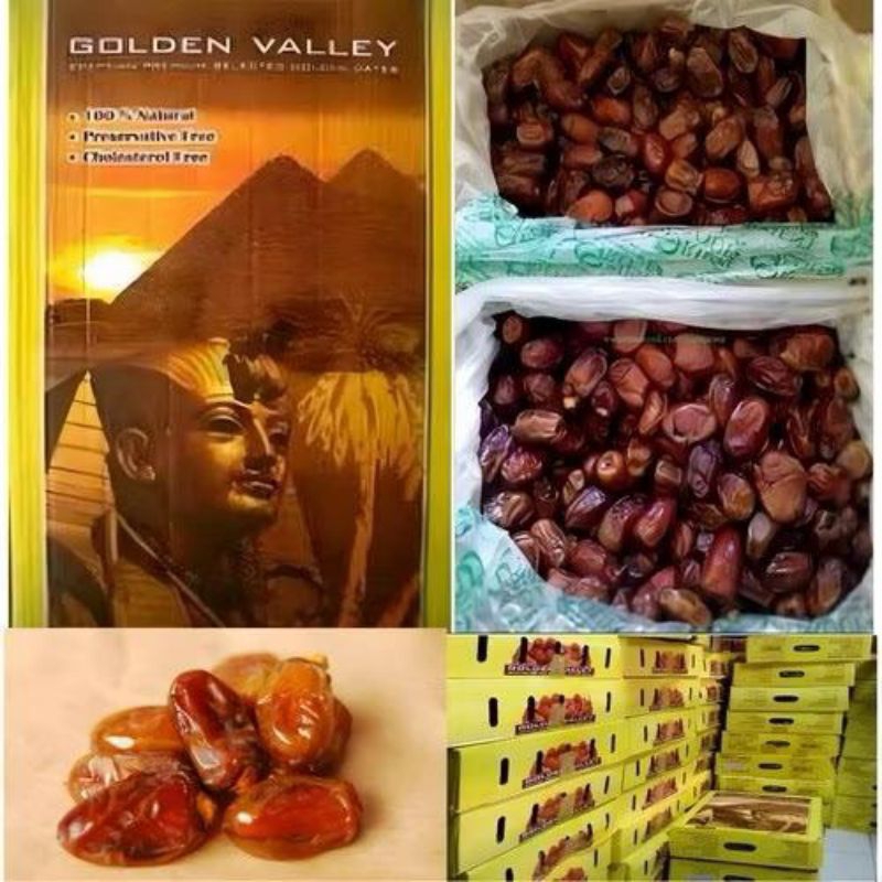 

kurma golden valley jumbo egiptian dates oleh oleh haji dan umrah pack 1 kg plstik