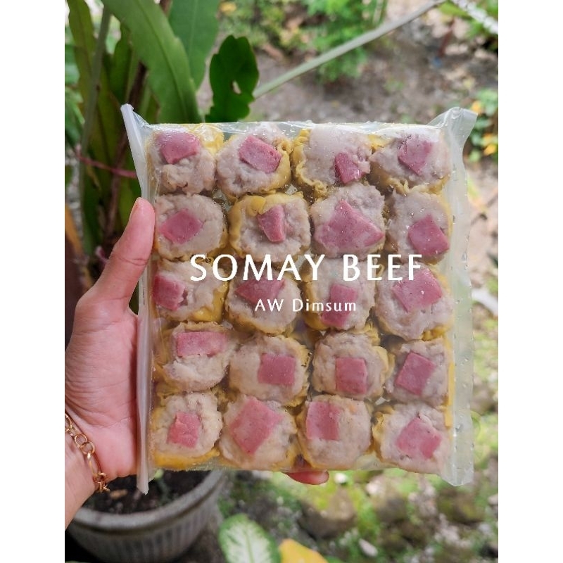 

Dimsum Frozen Somay Beef isi 20biji