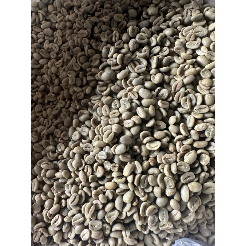 

luwak liar arabika Gayo