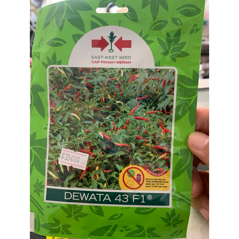 Benih Bibit Cabe Cabai Dewata 43 F1