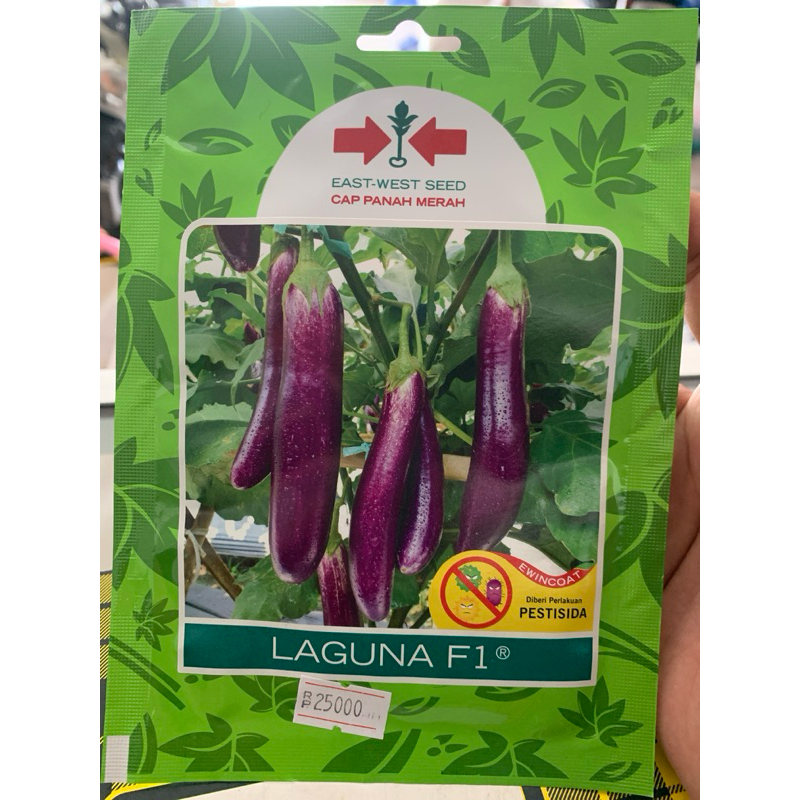 Benih Bibit Terung Terong Laguna F1