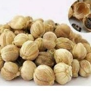 

Kapulaga Jawa 100gr Asli | Rempah Berkualitas untuk Masakan & Kesehatan