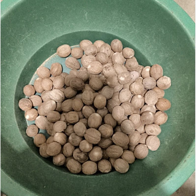 

Pala Ambon Kupas Bulat AB Sortiran