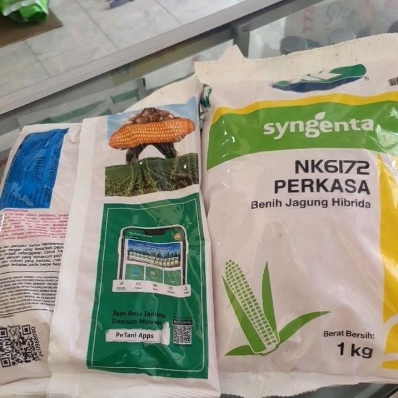 NK6172 PERKASA BENIH JAGUNG HIBRIDA ORIGINAL