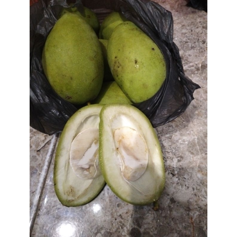 

mangga muda 1 kilo