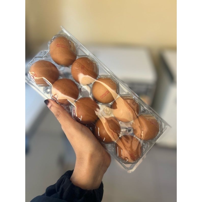 

Telur Herbal Sekuntum